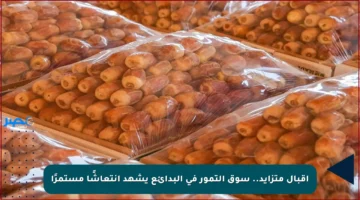 إقبال متزايد.. سوق التمور في البدائع يشهد انتعاشًا مستمرًا